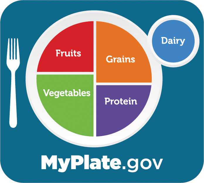 Balanced Meals for a Healthy Life